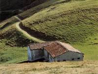 Malga